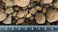 Hunting for marine minerals in the Baltic Sea