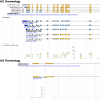 Fishing for a reelGene: evaluating gene models with evolution and machine learning - Schulz - 2025 - The Plant Journal