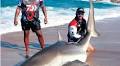 Andre knocks out shark heavyweigh­ts