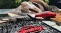Berkley Catch and Cook Fillet Kit: OHUB Review