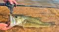 My Favorite Fishing Gear from the Past Year