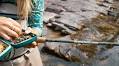 Review: Redington Wrangler fly rod combo kit