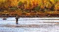 Can I Build a Fly-Fishing Kit This Fall for Less Than $500?