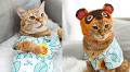 Your Pets Can Now Cosplay As Animal Crossing: New Horizons Townsfolk