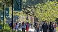 Tulane launches 24/7 virtual mental health support for students
