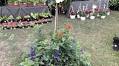 The 2025 Botha’s Hill Winter Garden Fair is a must-visit for garden lovers