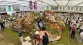 IN PICS | SA wins gold at Chelsea — and will rebuild the blooms at home this spring