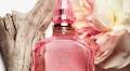 Charlotte Tilbury perfumes slashed to £11 each with 'hidden' Boxing Day sale code