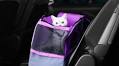 Ways to Calm Your Cat in the Car: 11 Vet-Reviewed Methods