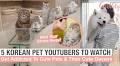 Melt Your Stress Away Watching These 5 Cute Korean Pet YouTube Channels