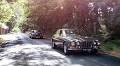 Big Cat Diaries: we celebrate 50 years of the Jaguar XJ