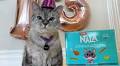Smoothie the cat​ - Here are the richest cats in the world in 2023