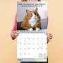 What Cats Teach Us 2026 Wall Calendar | 12x12, 18-Month With Cat Photos & Life Lessons