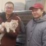 Violinist Plays “Mewsic” for Maine Coons – after all, cats love strings