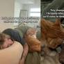 Cat’s Tactics To Wake Owner up Range From Cute To Chaotic