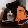 I tested 31 cat carriers to find the safest and most comfortable options for flying