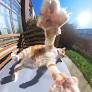 50 Hilarious And Adorable Cat Photos That Perfectly Capture Everyday Chaos, Shared By This Community (New Pics)