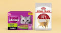 The best cat food, recommended by a vet – including new online cat food delivery services