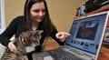 New Republic: Why Do Cats Run The Internet?