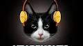 Sol Republic debuts headphones for cats. Read that again: Cats!