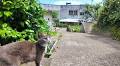 猫島で野良猫に案内されて『猫の集会』に参加してみたら… 猫達が次々と挨拶しに来た♪