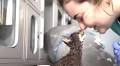 Shelter Staff 'In Tears' When Little Kitten Arrives Totally Covered In Paint