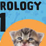 Kitten season prompts Lake County Animal Shelter to host Fosterology 101 class