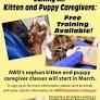 Kitten and Puppy Caregivers Invited to Free Training