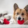 From the Guidelines: Share the love with senior care kits