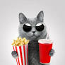 25 Top Cat Movies for Kids: The Purrfect Picks in 2026