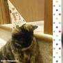 Family Races Through Snowstorm To Save 16 Year Old Cat From Spending Another Night Alone