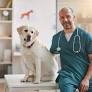 World Spay Day: How One Simple Surgery Saves Millions of Animals