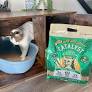 Catalyst Pet Litter Review: Our Expert’s Opinion 2026