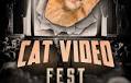 Charity, Comedy, Cats: CatVideoFest Comes to Silver Spring