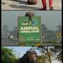 Wildlife SOS launches emergency rescue to save 27-year-old elephant injured from years of forced labor