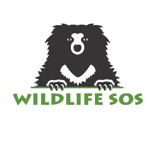 Wildlife SOS - YouTube