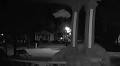 Mysterious animal in viral video stirs up Rochester residents: Is a mountain lion in the city?