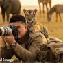AI-generated wildlife photos make conservation more difficult