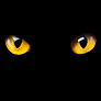 A ‘large wild animal’ is roaming Gustine, police say ‘remain aware’