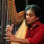 Humble jazz harpist deserves wider recognition