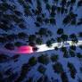 60 Percent Of Drivers Are Struggling With Headlight Glare