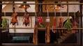 Nomad Tea Parlour Adds Cantonese Cuisine To Manhattan’s Fifth Avenue