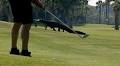 Alligators and humans coexist in this high-end golf course