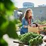 Best Agriculture Stocks to Buy in 2026