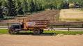 30 Most Profitable Agricultural Business Ideas for Young Entrepreneurs