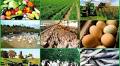 Here are five agribusiness ideas for investors in 2025