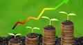 Top 8 most profitable farming businesses in Nigeria in 2025
