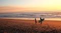 2025 Surf Lessons: Morocco vs Bali – Ultimate Guide to the Best Waves