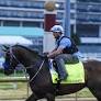 A horse Toby Keith named will run in the Kentucky Derby. Here's what to know