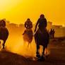 Movie Night at the Races: Key Scenes You Shouldn’t Miss In Horse Racing Films